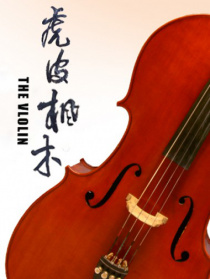 虎皮楓木