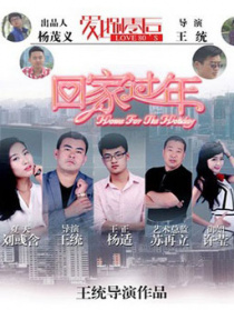 回家过年