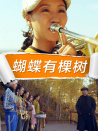 蝴蝶有棵樹