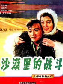 沙漠里的戰(zhàn)斗