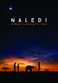 Naledi: A Baby Elephant's Tale