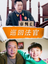 巡回法官