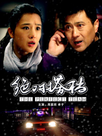 绝对搭档
