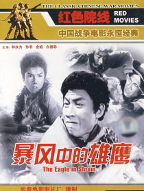 暴风中的雄鹰