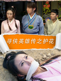 尋俠英雄傳之護(hù)花