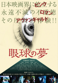 眼球之梦