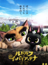 黑猫鲁道夫