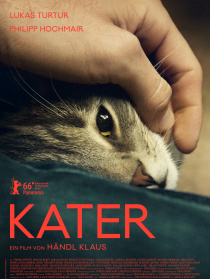 公猫