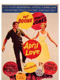 四月蔷薇处处开