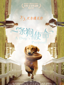 一條狗的使命