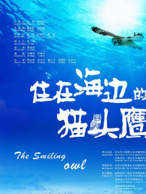 住在海边的猫头鹰