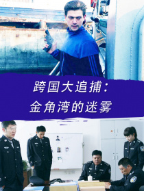 跨國大追捕：金角灣的迷霧