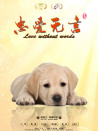 忠爱无言