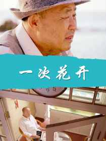 一次花开