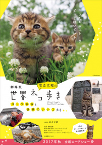 巖合光昭的貓步走世界