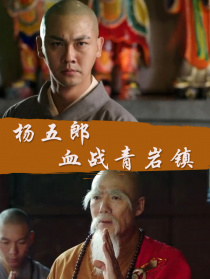 杨五郎血战青盐镇