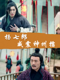 杨七郎威震神州擂