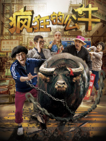 瘋狂的公牛