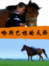 哈斯巴根的天驕