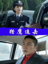 獵鷹追擊