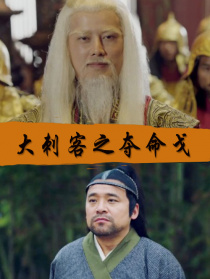 大刺客之奪命戈