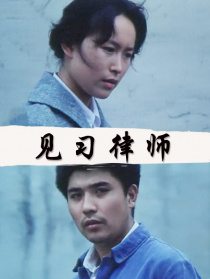 見習(xí)律師