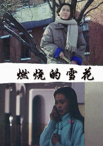 燃燒的雪花
