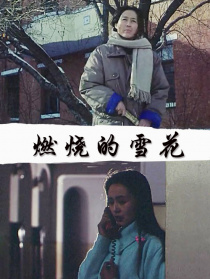 燃烧的雪花