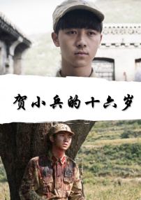 賀小兵的十六歲