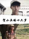 賀小兵的十六歲