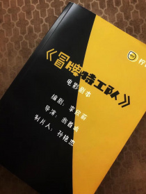 冒牌特工隊