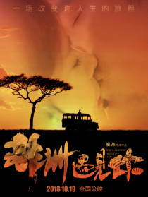 非洲遇见你