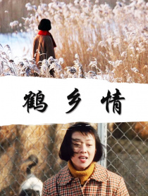 鶴鄉(xiāng)情