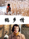 鹤乡情