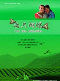 兩只蝴蝶
