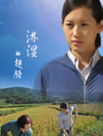 淋濕的翅膀