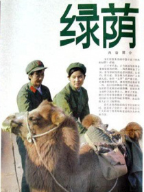 绿荫