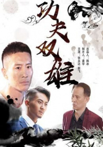 功夫雙雄