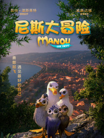 尼斯大冒险
