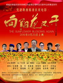 向陽花又開