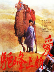 驼峰上的爱