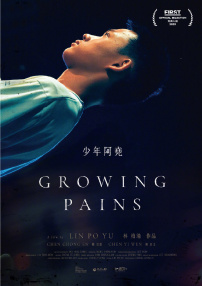 少年阿堯