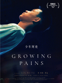 少年阿尧