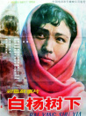 白楊樹(shù)下