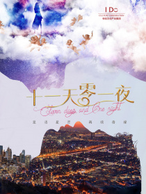 十一天零一夜