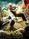 百家拳之洪拳