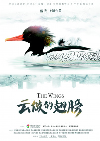 云做的翅膀