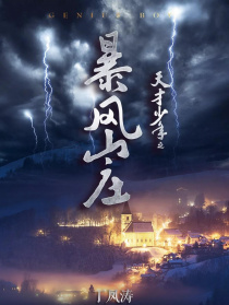 天才少年之暴風山莊