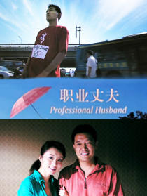 职业丈夫
