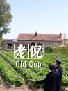老倪